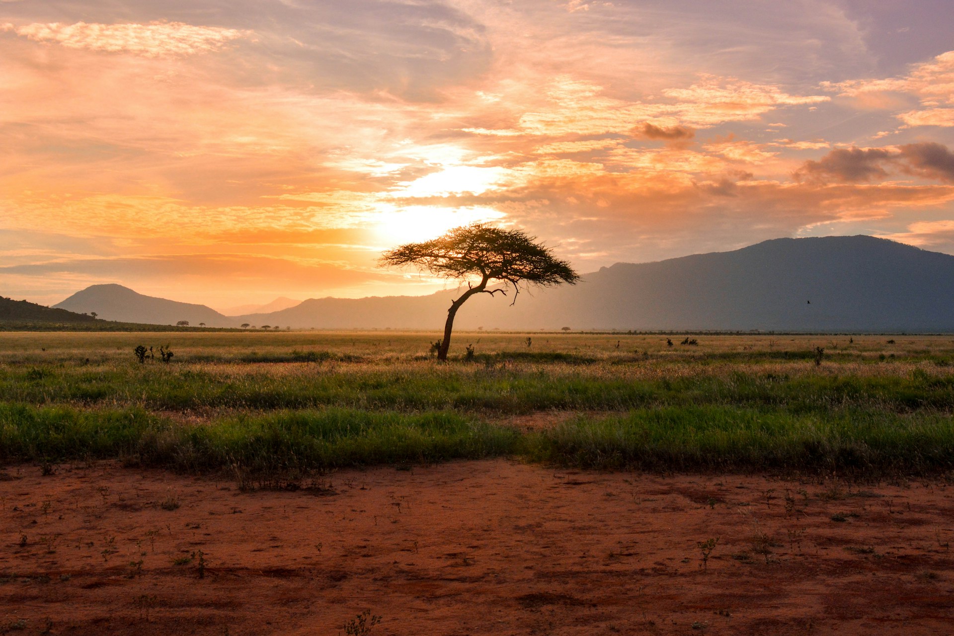 Your First South African Safari: The Questions Everyone Asks