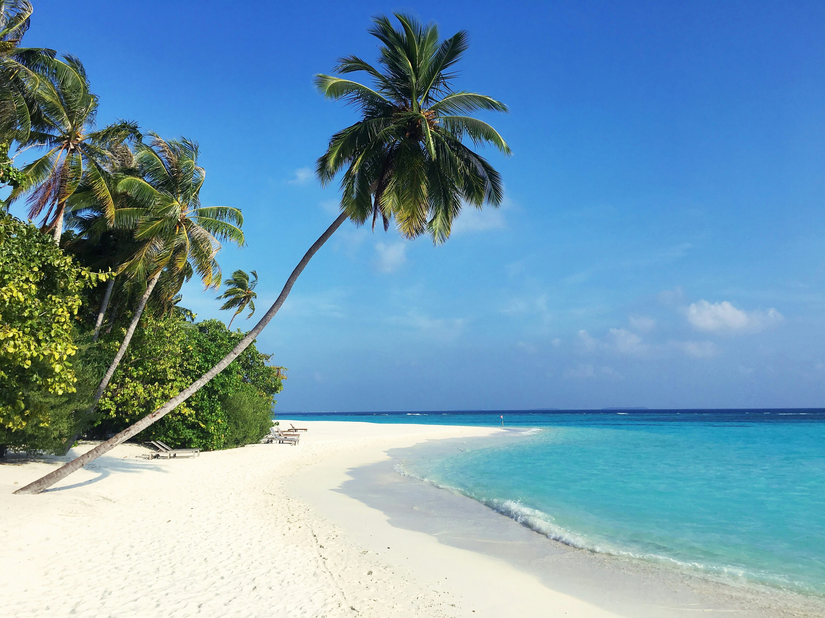 trending destination